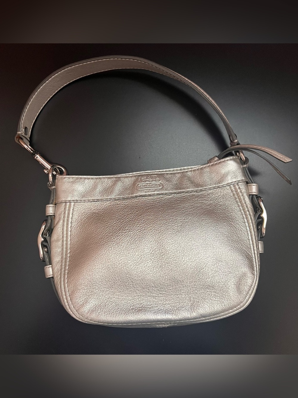Coach Zoe Silver Handbag